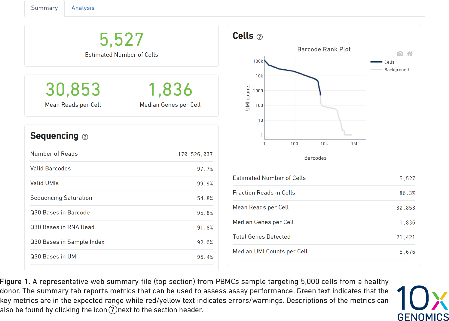 10X Genomics QC Report