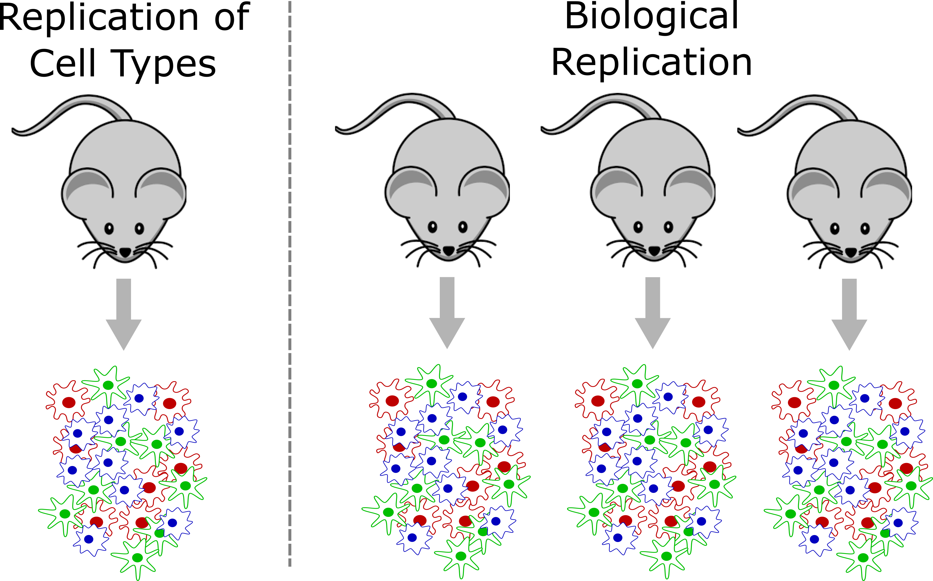 Biological Replication