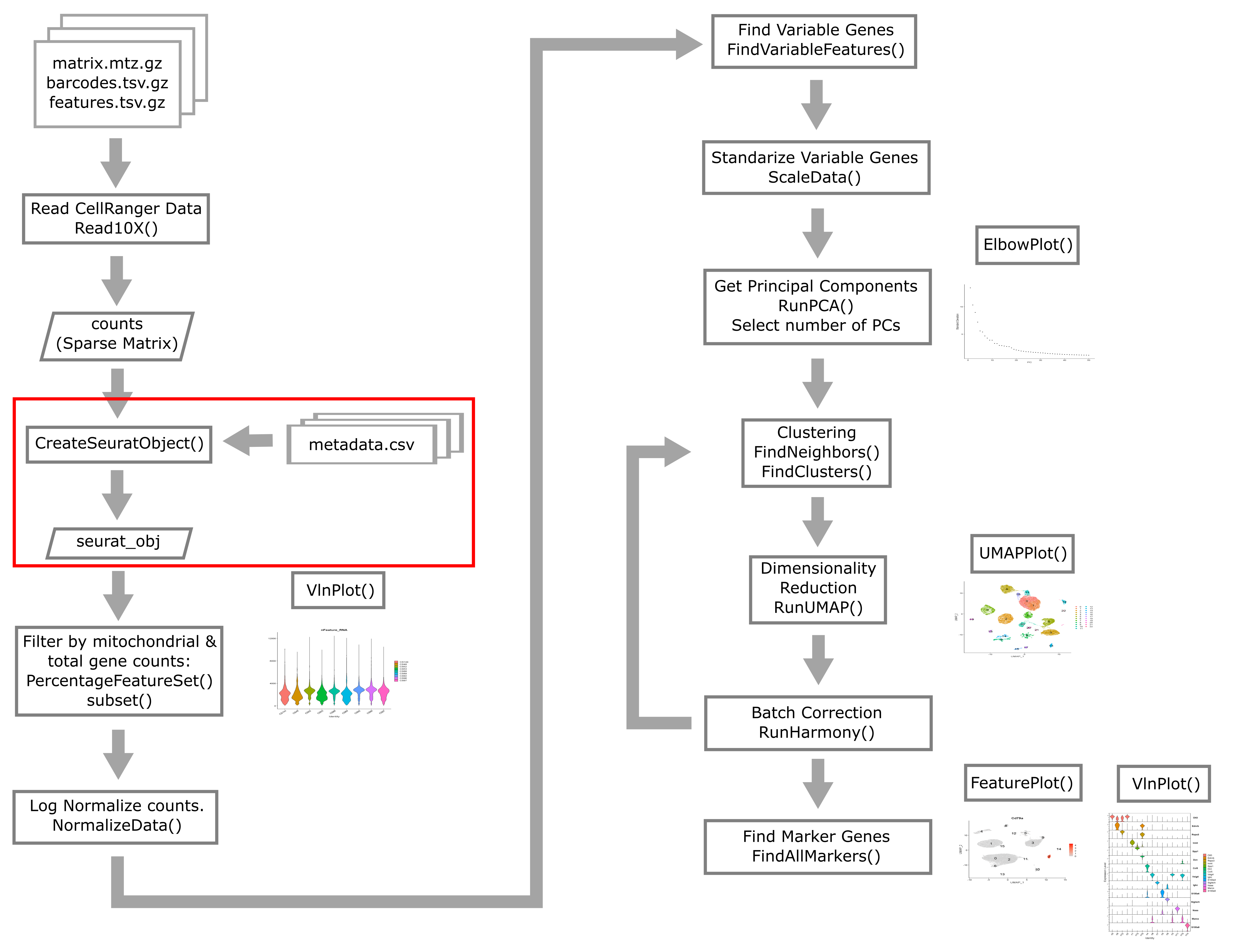 Single Cell Flowchart