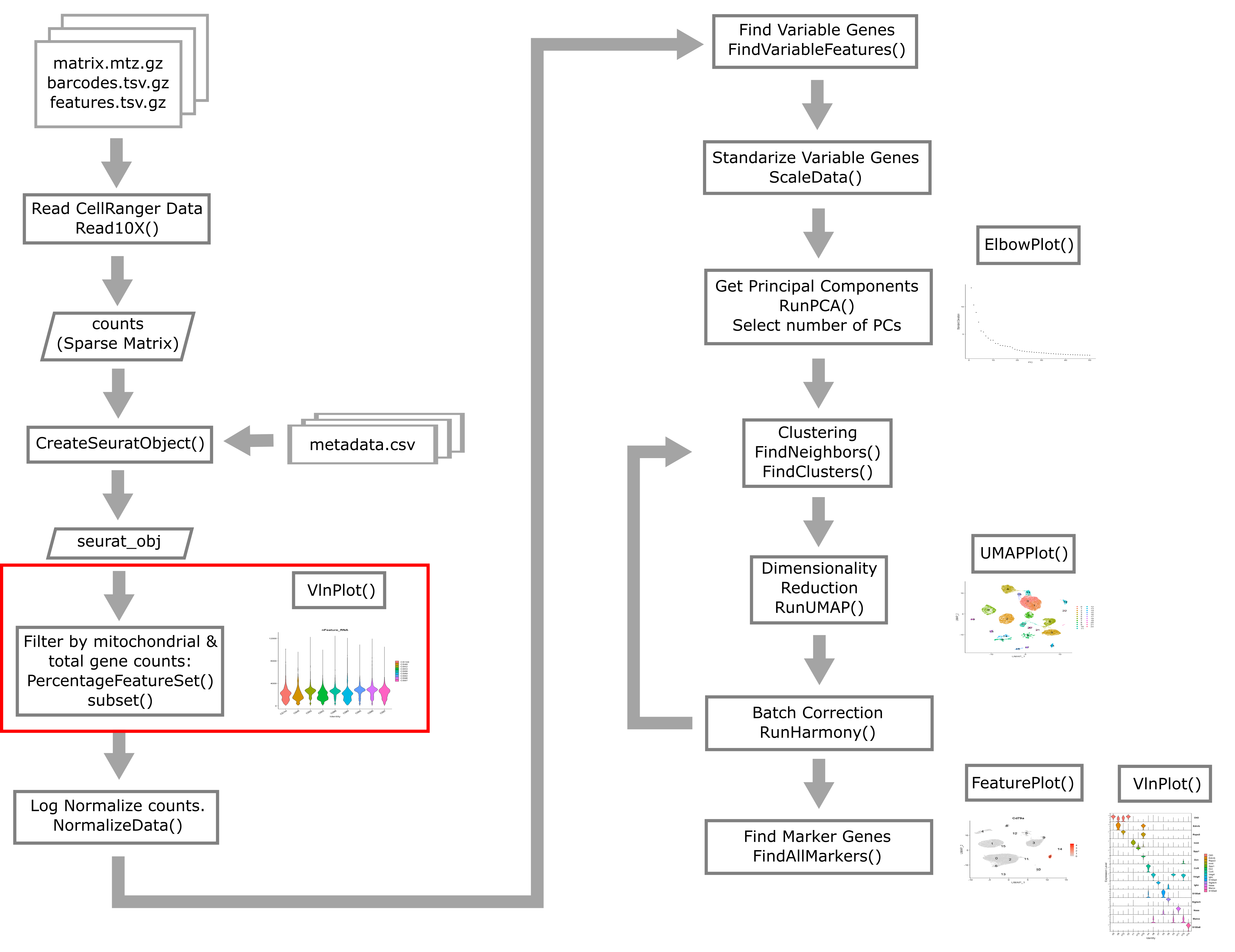 Single Cell Flowchart