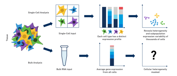 Single Cell vs. Bulk RNA-seq