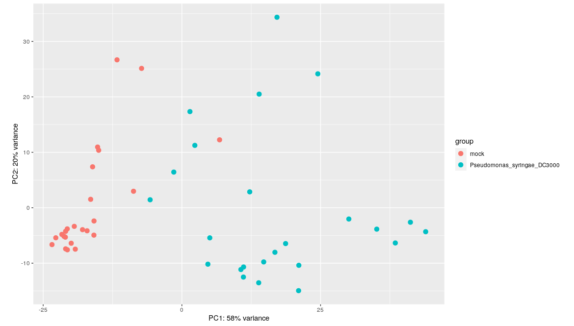 bare PCA score plot