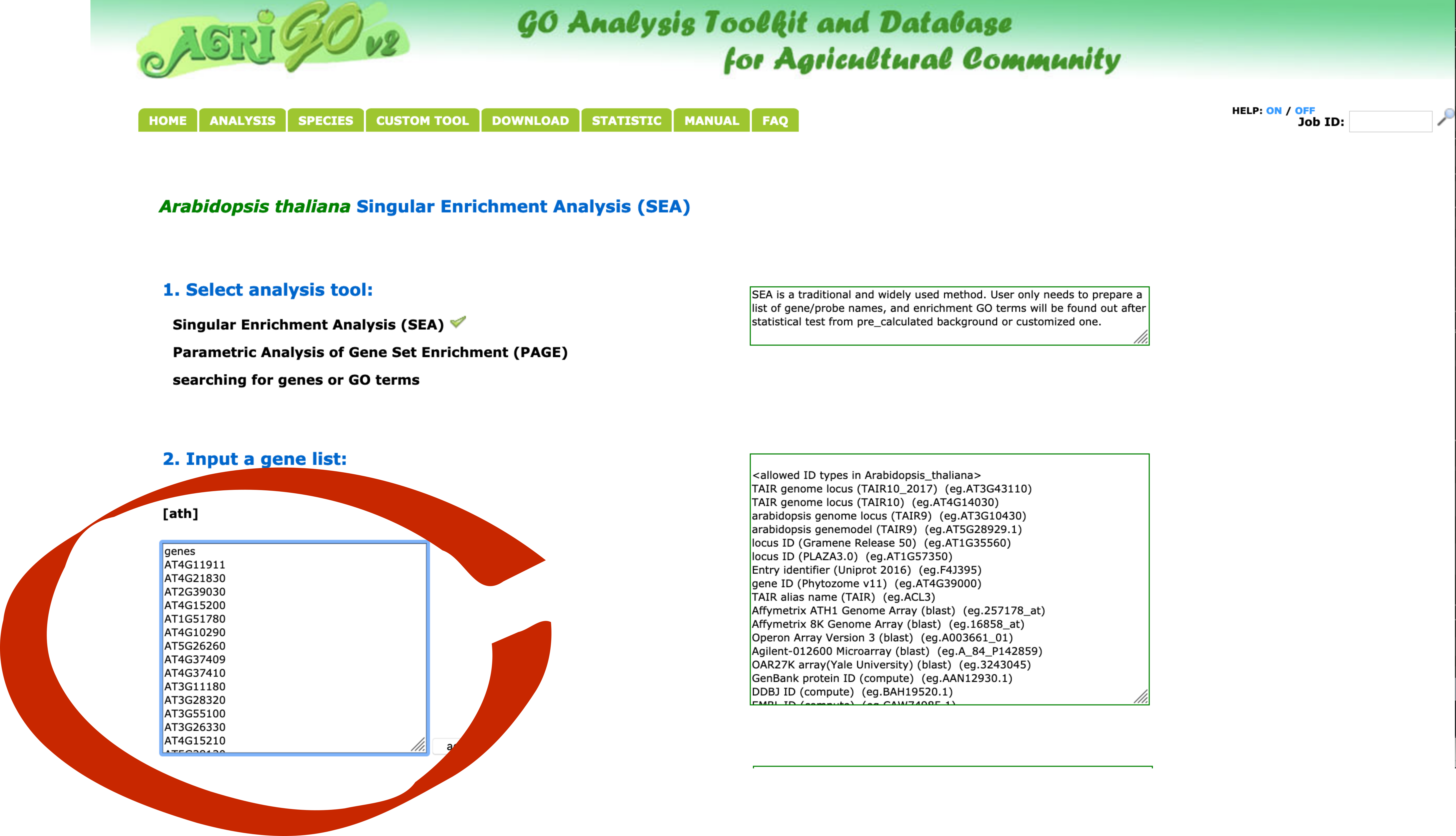 input gene list for arabidopsis