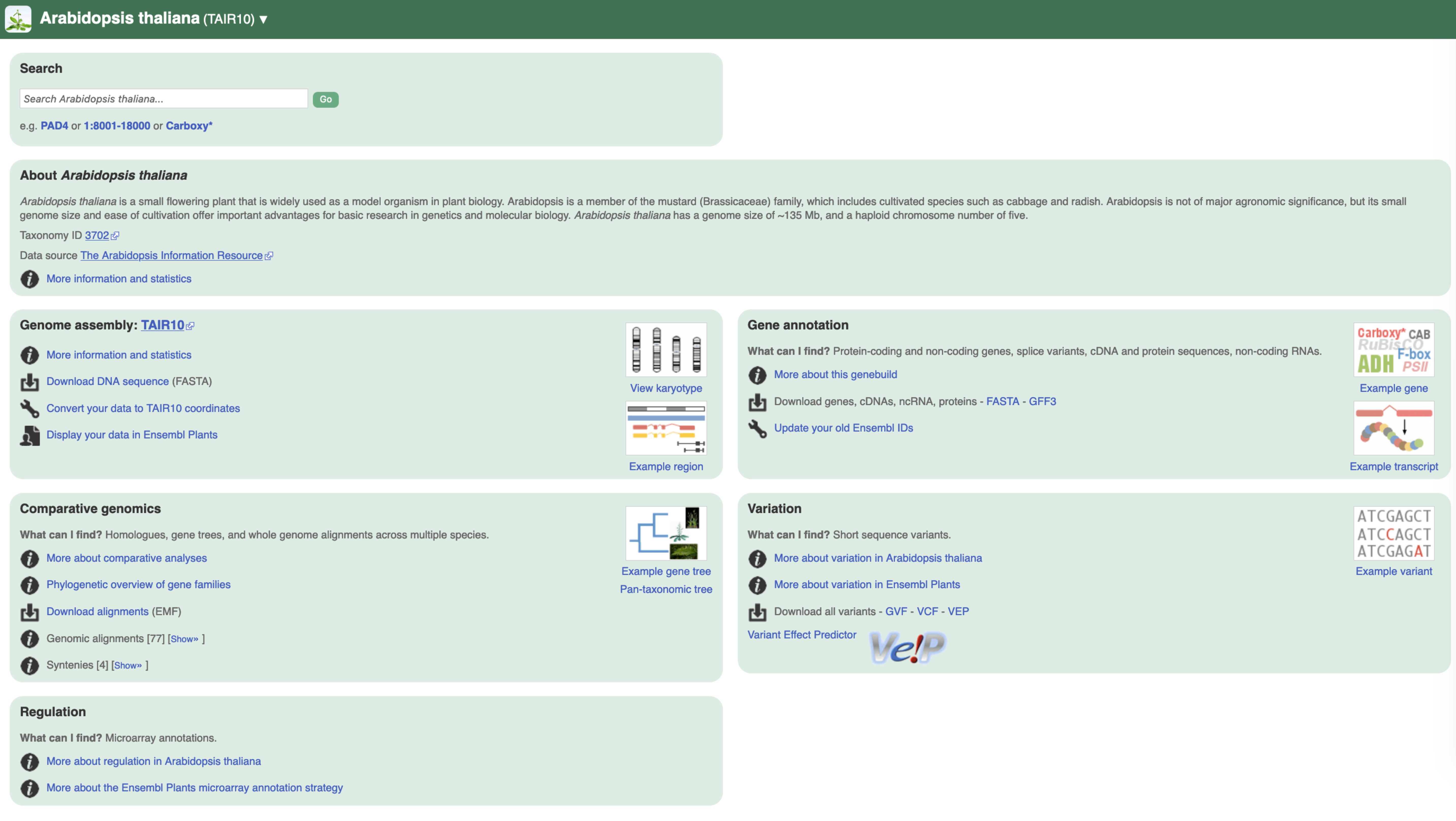 Portal of Ensembl for Arabidopsis