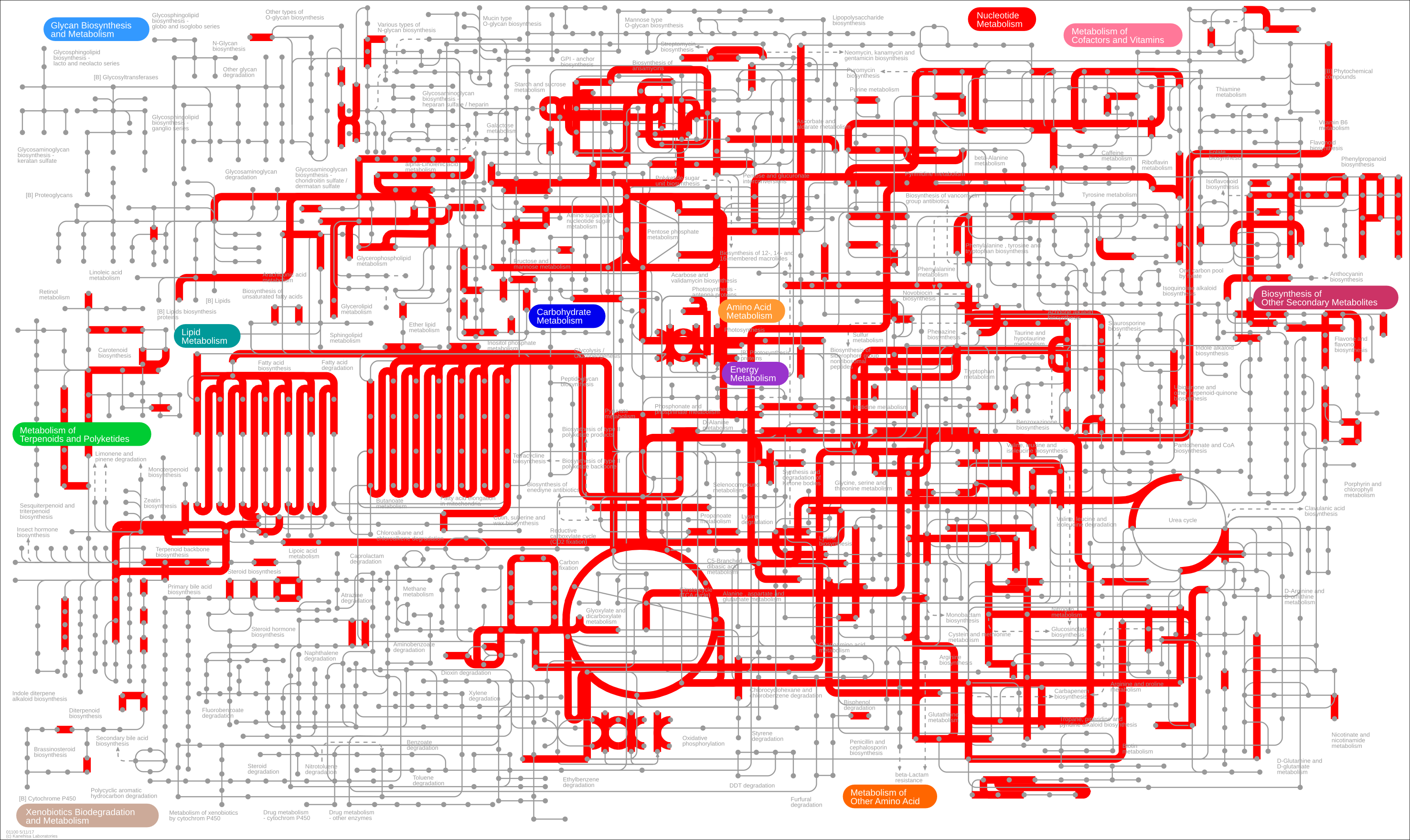 first metabolic pathway map