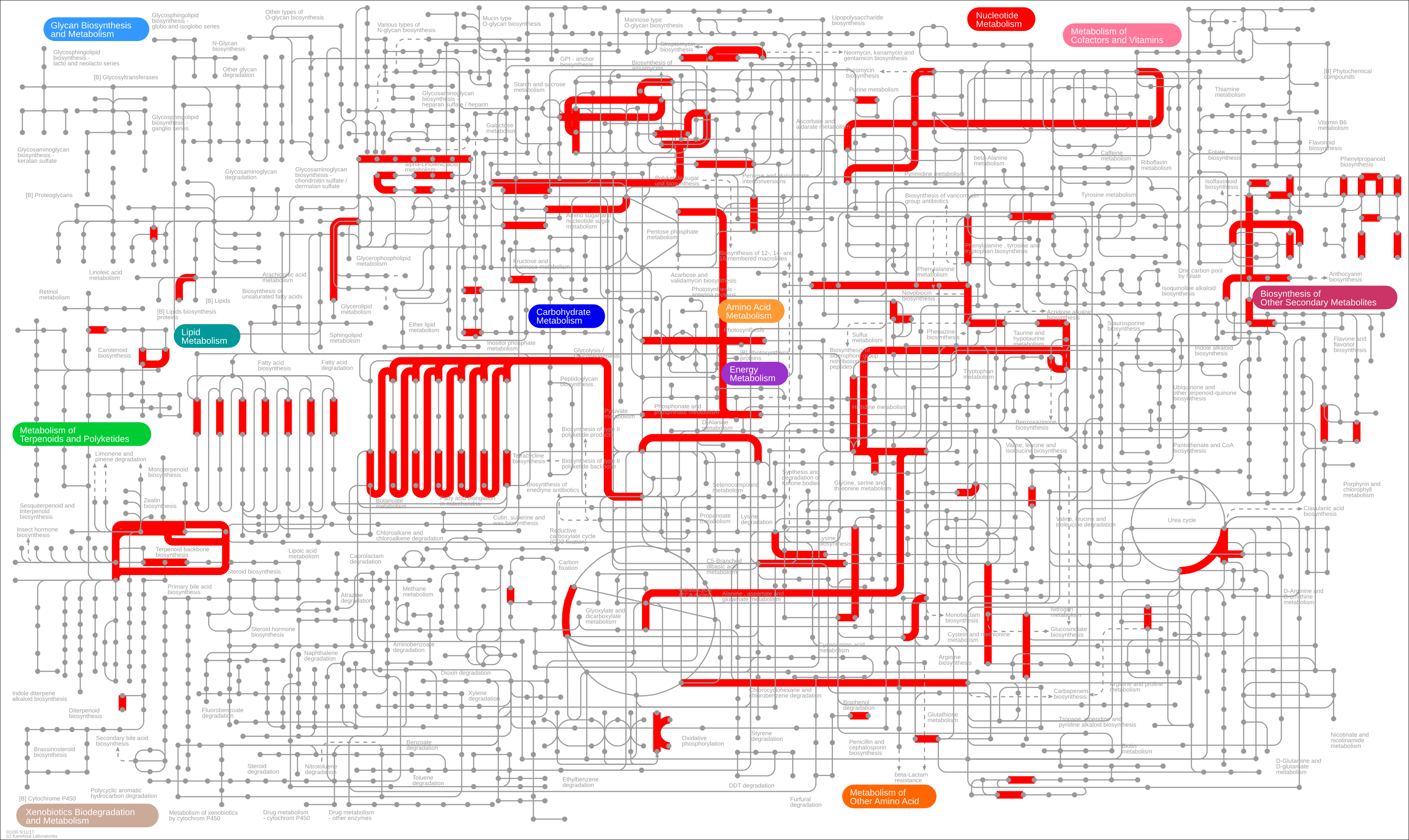 simplified ipath metabolic map