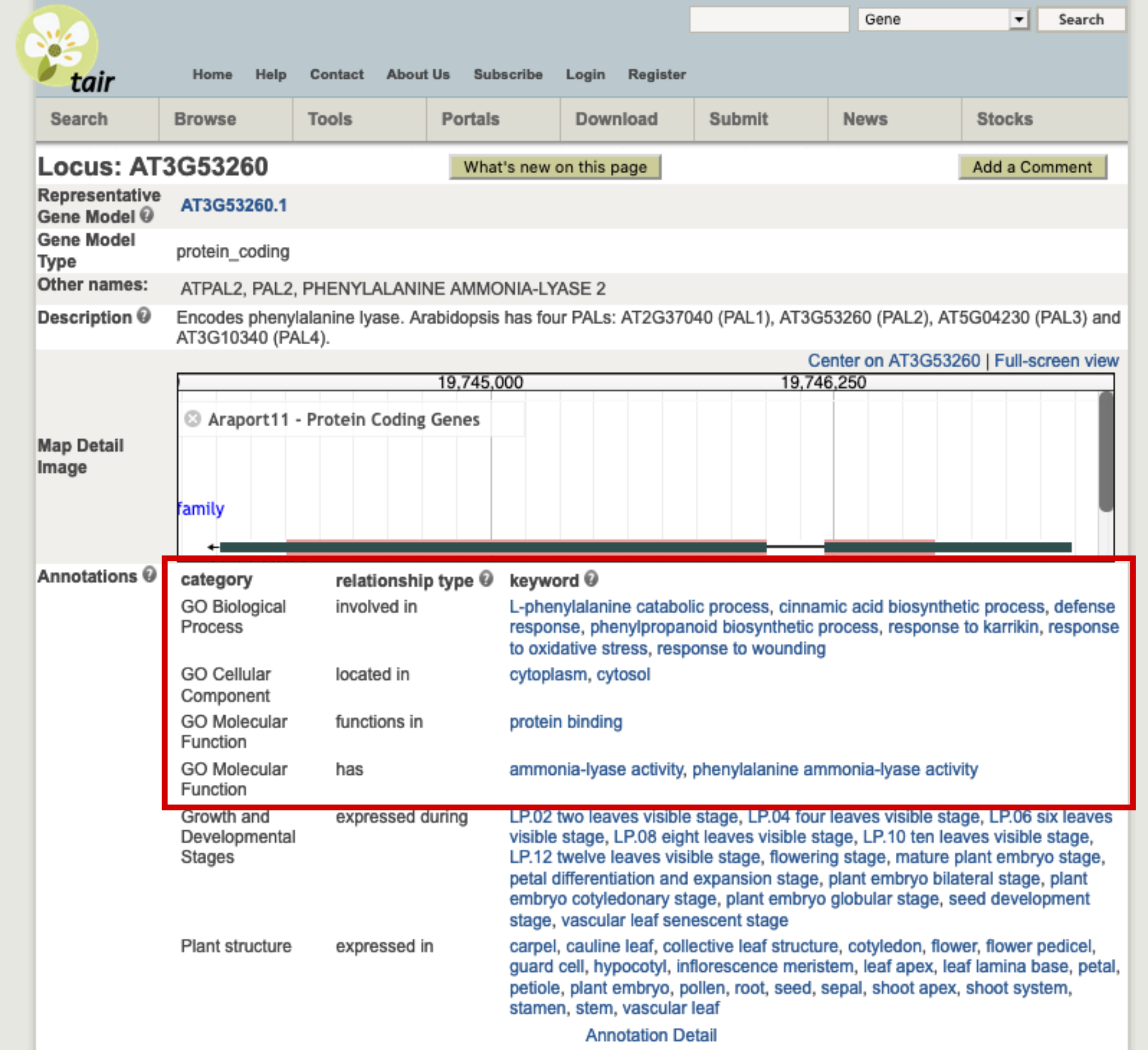 AT3G53260 page on arabidopsis.org