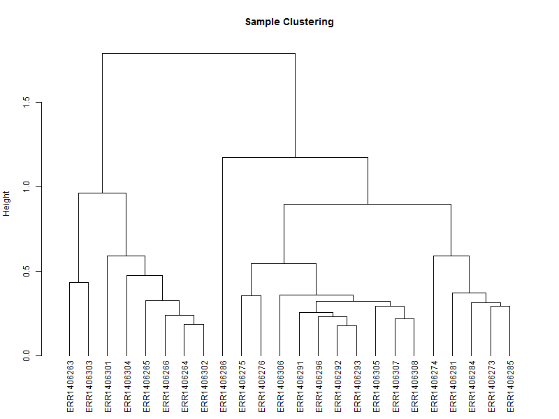 Sample_tree