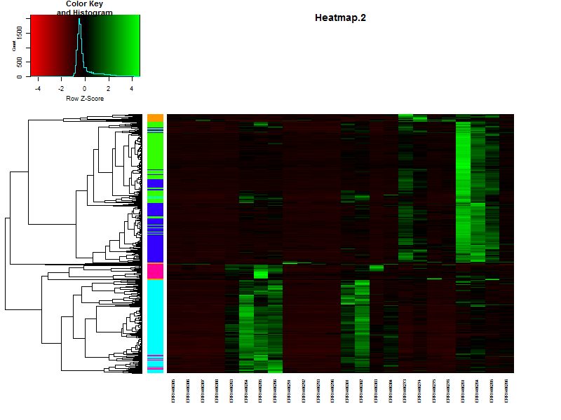 Gheatmap_with_Kmeans_clusters